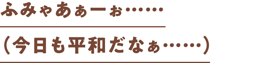 ふみゃあぁーぉ……（今日も平和だなぁ……）